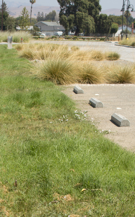 Biofiltration & bioretention