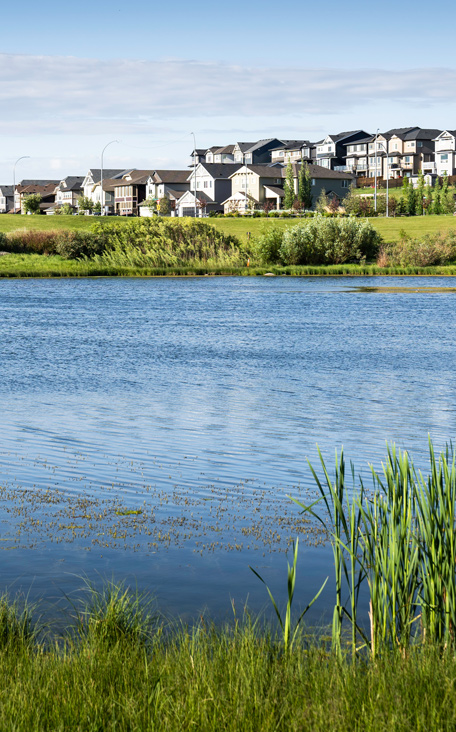 detention and water quality pond services